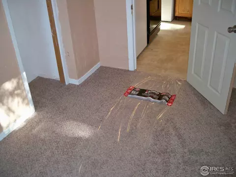 3813 Empire St, Evans, CO 80620 photo 9
