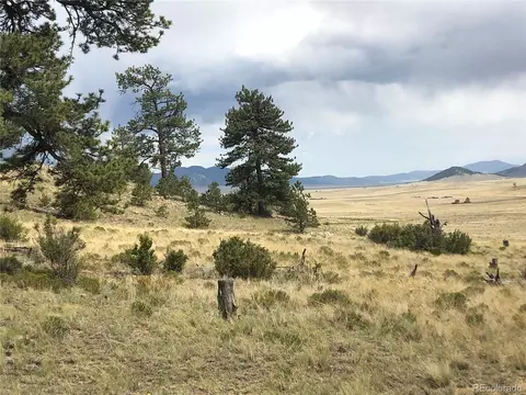 477 Goldenburg Canyon Rd, Hartsel, CO 80449
