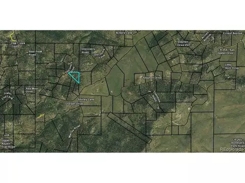 98 Discovery Dr, Westcliffe, CO 81252
