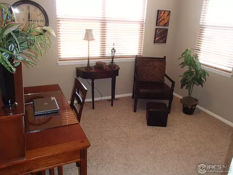 604 Wycombe Ct, Windsor, CO 80550 photo 9