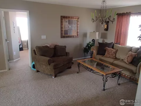 604 Wycombe Ct, Windsor, CO 80550 photo 10