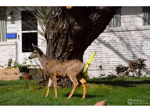 663 Hartford Dr, Boulder, CO 80305 photo 13