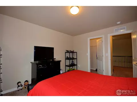 7415 Pimlico Dr, Windsor, CO 80550 photo 17