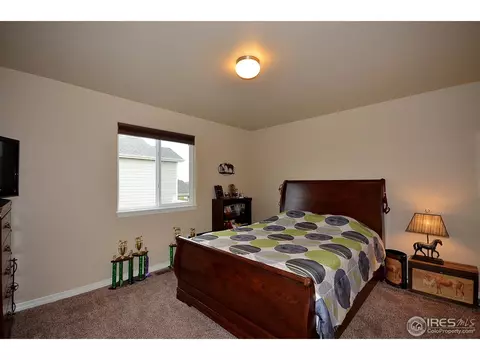 7415 Pimlico Dr, Windsor, CO 80550 photo 19