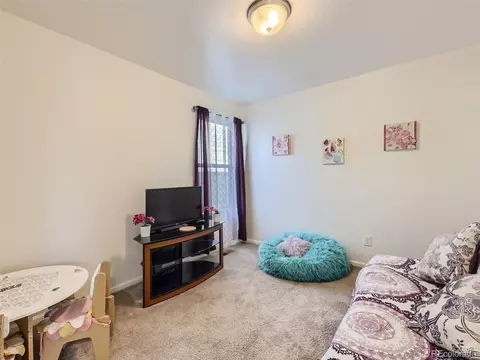 4728 Jasper St, Denver, CO 80239 photo 21