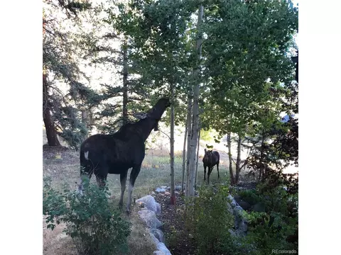 20 Legend Cir, Dillon, CO 80435 photo 34