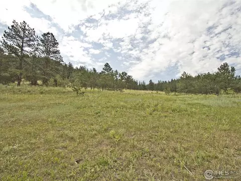 13906 N Saint Vrain Dr, Lyons, CO 80540 photo 23