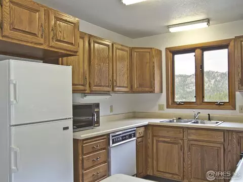 13906 N Saint Vrain Dr, Lyons, CO 80540 photo 6