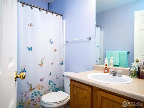 24 Cisne Cir, Brighton, CO 80601 photo 11