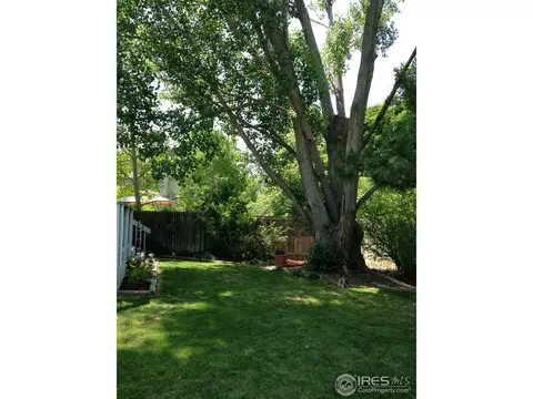 1173 E 130th Dr, Thornton, CO 80241 photo 25