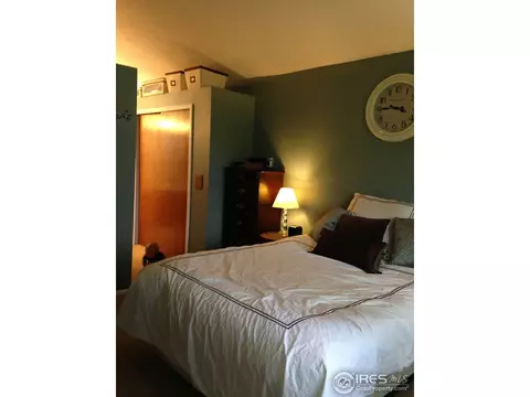1173 E 130th Dr, Thornton, CO 80241 photo 10