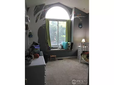 1173 E 130th Dr, Thornton, CO 80241 photo 17