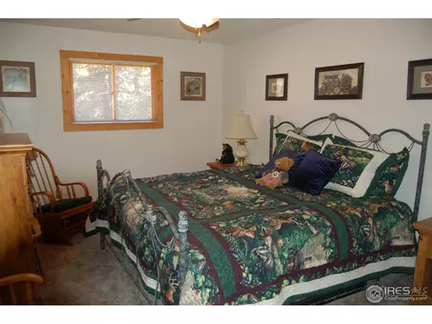 758 Hemlock Dr, Lyons, CO 80540 photo 20