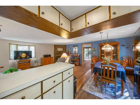 567 Forest Dr, Bailey, CO 80421 photo 16