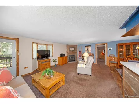 567 Forest Dr, Bailey, CO 80421 photo 9