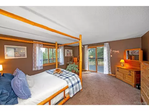 567 Forest Dr, Bailey, CO 80421 photo 19
