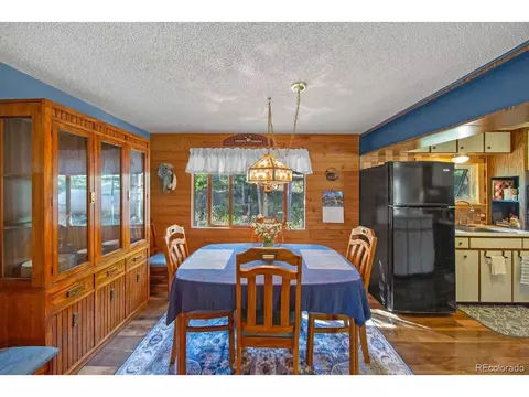 567 Forest Dr, Bailey, CO 80421 photo 11