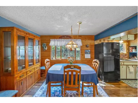 567 Forest Dr, Bailey, CO 80421 photo 13