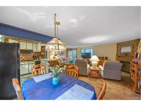 567 Forest Dr, Bailey, CO 80421 photo 18