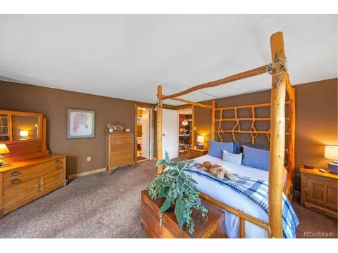 567 Forest Dr, Bailey, CO 80421 photo 21