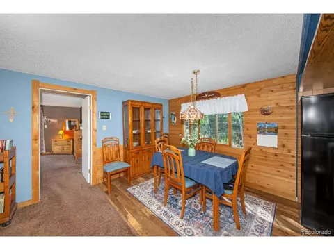 567 Forest Dr, Bailey, CO 80421 photo 10