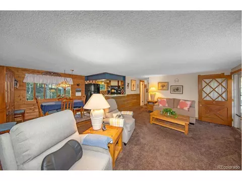 567 Forest Dr, Bailey, CO 80421 photo 7