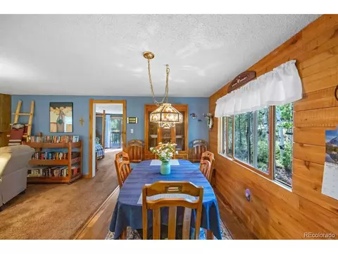 567 Forest Dr, Bailey, CO 80421 photo 17