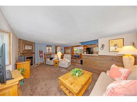567 Forest Dr, Bailey, CO 80421 photo 8