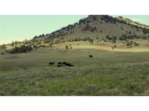 State Hwy, Guffey, CO 80820 photo 5