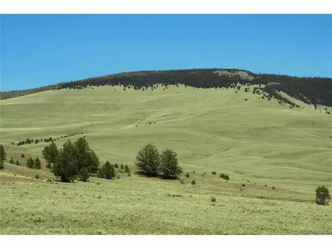 State Hwy, Guffey, CO 80820 photo 6