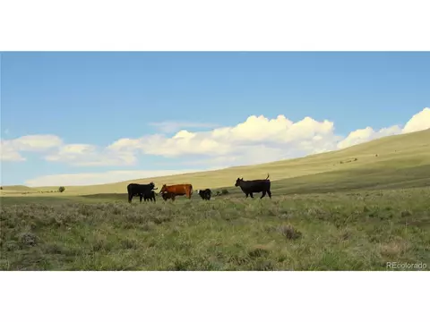 State Hwy, Guffey, CO 80820 photo 4