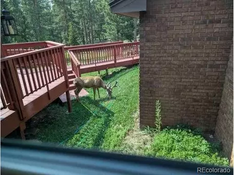 Undisclosed, Conifer, CO 80433 photo 35