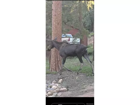 Undisclosed, Conifer, CO 80433 photo 38