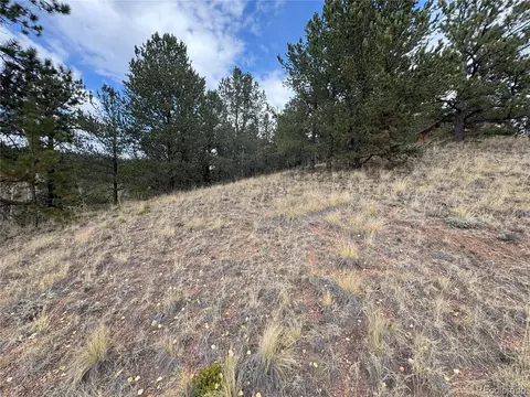 Pikes Peak Dr, Divide, CO 80814 photo 2