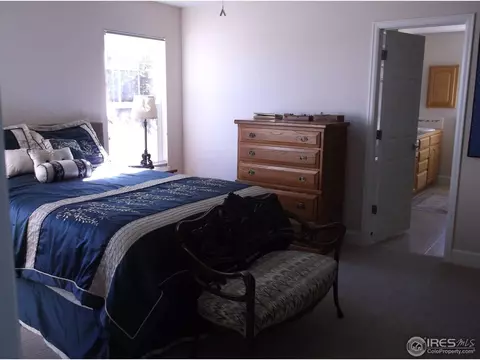 283 Mason Ct, Windsor, CO 80550 photo 16