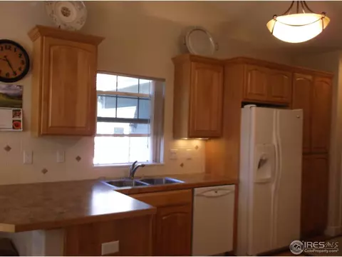 283 Mason Ct, Windsor, CO 80550 photo 13