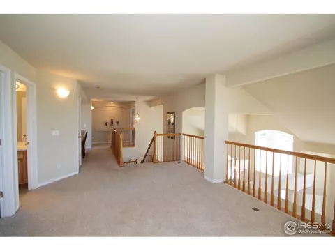 8551 E 160th Pl, Brighton, CO 80602 photo 13