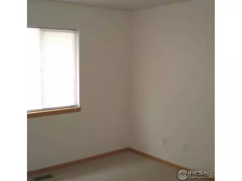 811 Durum St, Windsor, CO 80550 photo 5