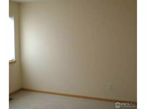 811 Durum St, Windsor, CO 80550 photo 6