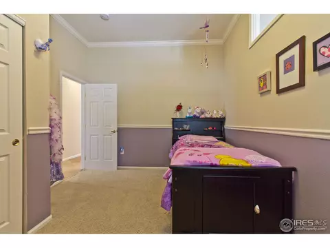 10221 Sandy Ridge Ct, Firestone, CO 80504 photo 18