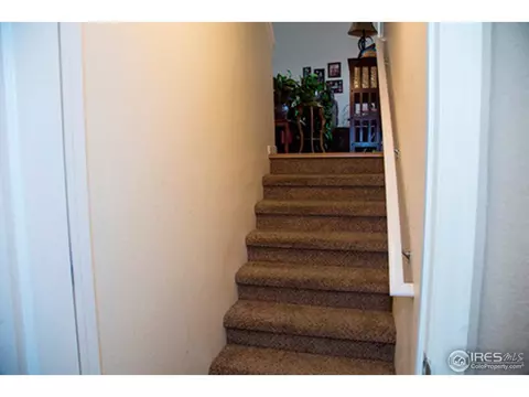 917 E 25th St Ln, Greeley, CO 80631 photo 7