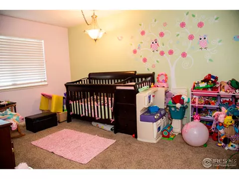 917 E 25th St Ln, Greeley, CO 80631 photo 11