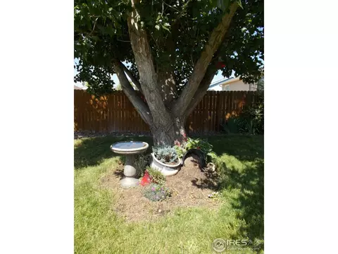 340 E Lilac St, Milliken, CO 80543 photo 25