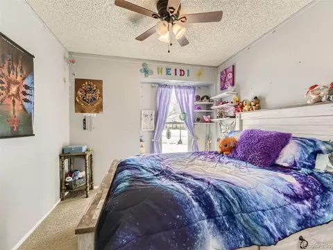 21236 E Powers Cir, Centennial, CO 80015 photo 18