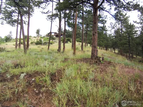 22 Old Sunshine Trl, Boulder, CO 80302 photo 19