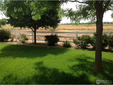 831 Spruce Ct, Frederick, CO 80530 photo 17