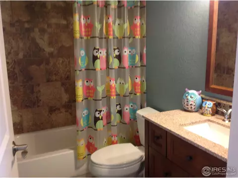 831 Spruce Ct, Frederick, CO 80530 photo 13