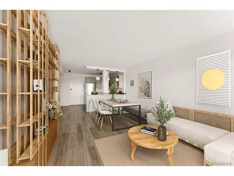 909 N Logan St #11I, Denver, CO 80203
