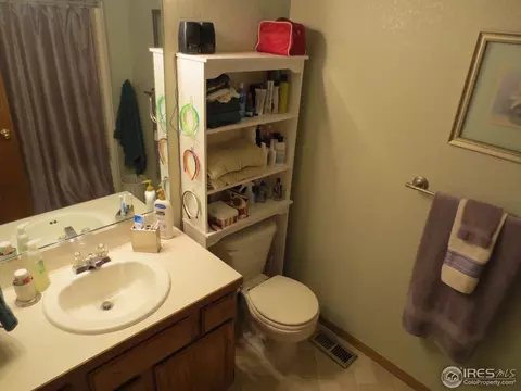 1113 Valley Pl, Windsor, CO 80550 photo 17