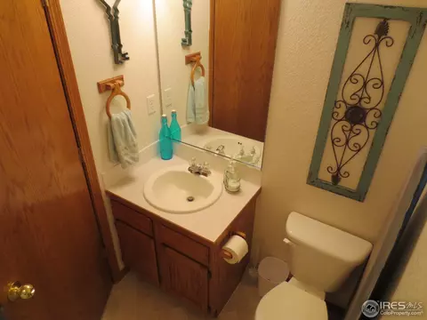 1113 Valley Pl, Windsor, CO 80550 photo 16